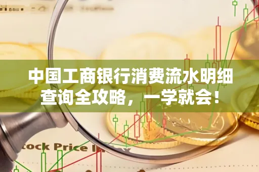 中国工商银行消费流水明细查询全攻略，一学就会！