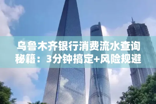 乌鲁木齐银行消费流水查询秘籍：3分钟搞定+风险规避干货