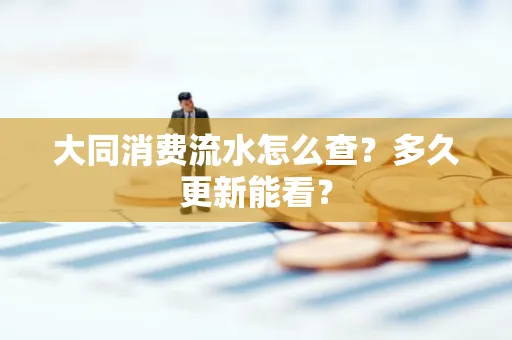 大同消费流水怎么查？多久更新能看？